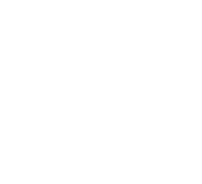 Lavinia Corporation