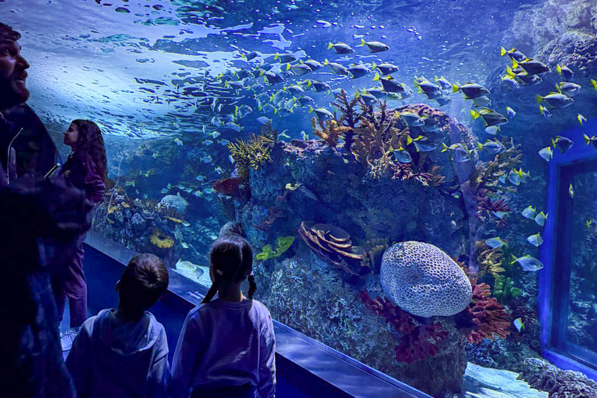 Lavinia Family Day, a day dedicated to our families and children