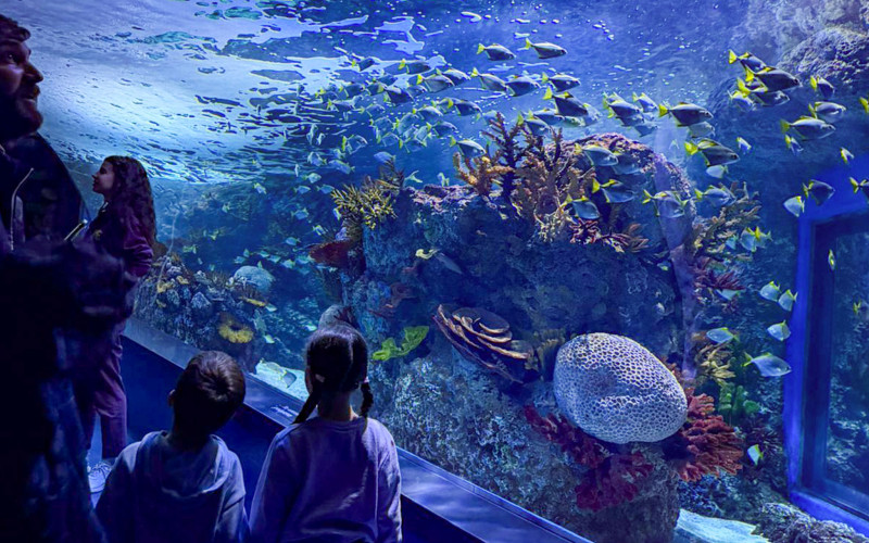 Lavinia Family Day, a day dedicated to our families and children